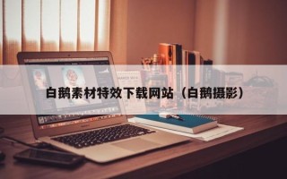 楚雄白鹅素材特效下载网站（白鹅摄影）